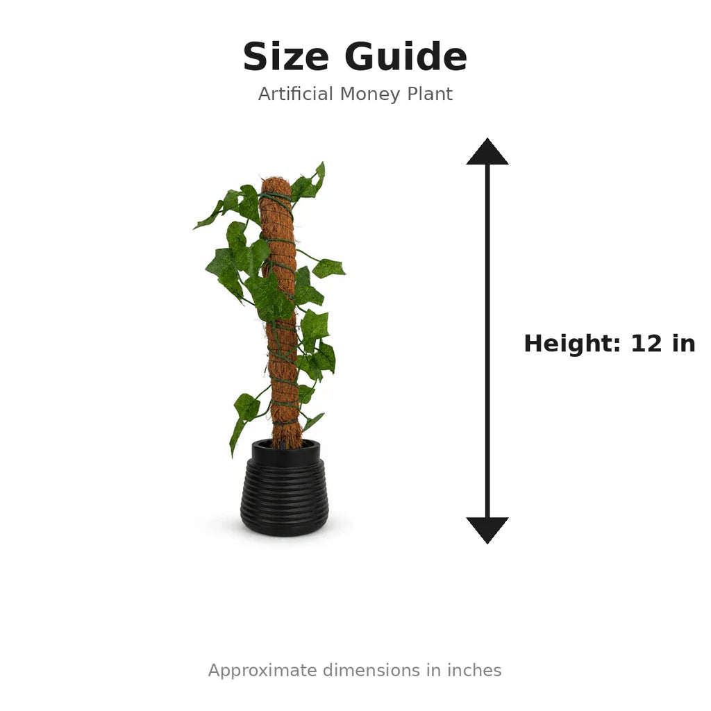 Artificial Money Plant with Coconut Stick size guide - 12 inches height