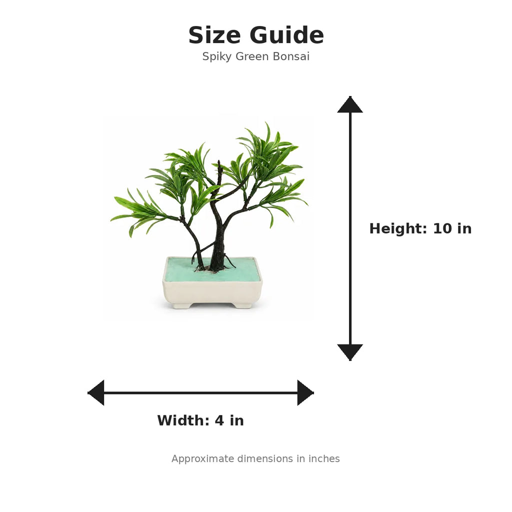 Size guide with product image - 10 x 4 inches