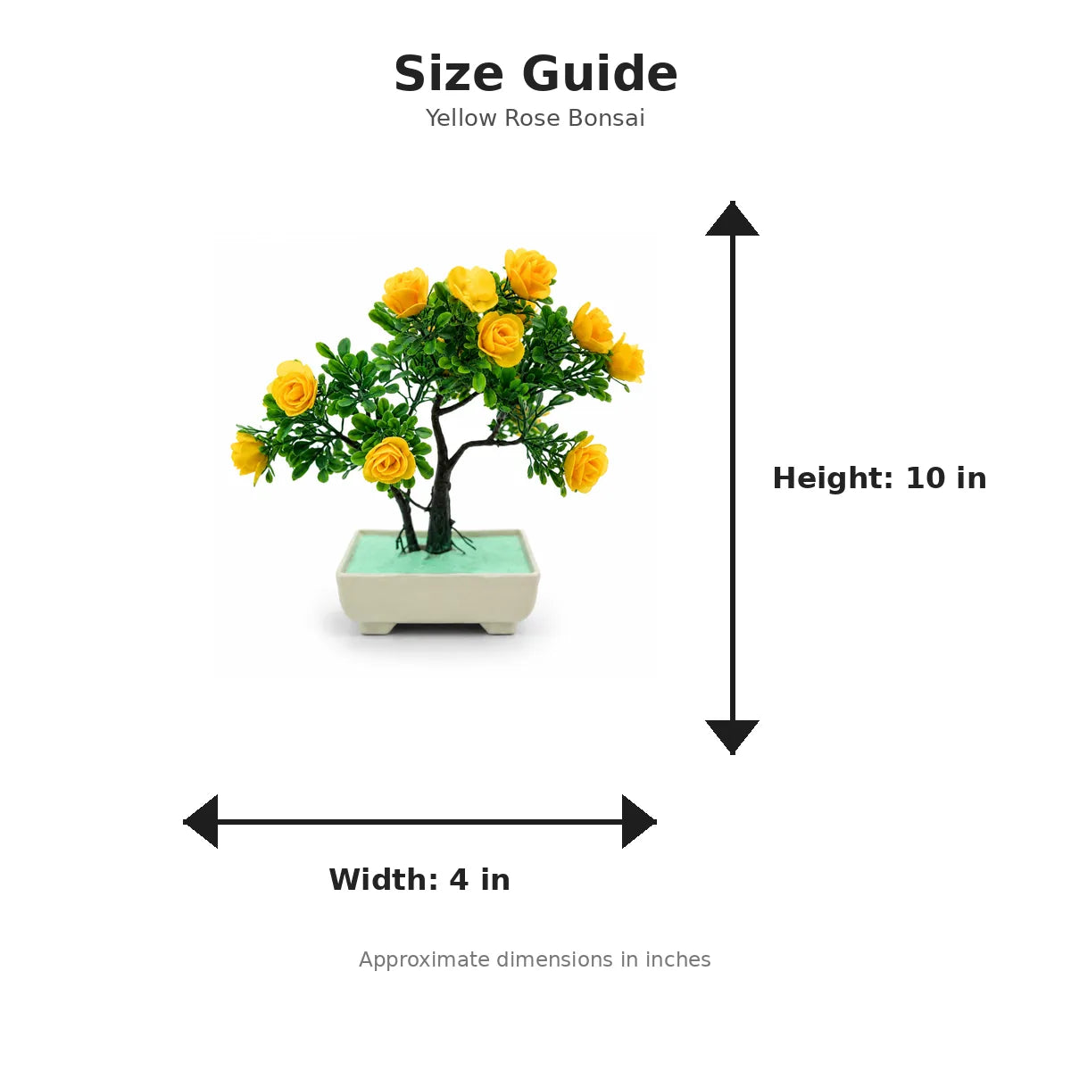 Size guide with product image - 10 x 4 inches