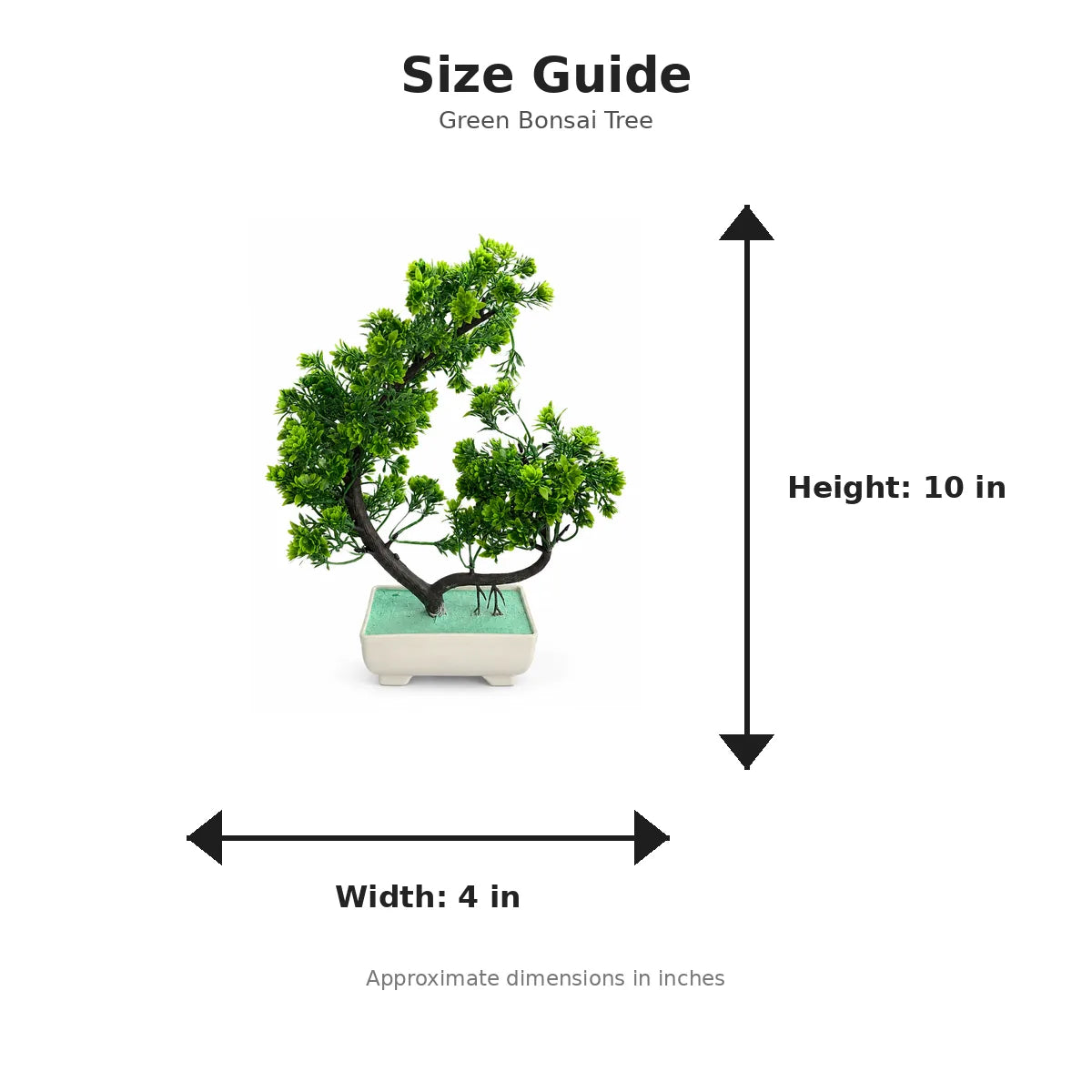 Size guide with product image - 10 x 4 inches