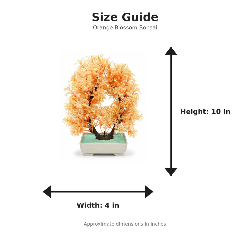 Size guide with product image - 10 x 4 inches