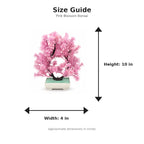 Size guide with product image - 10 x 4 inches