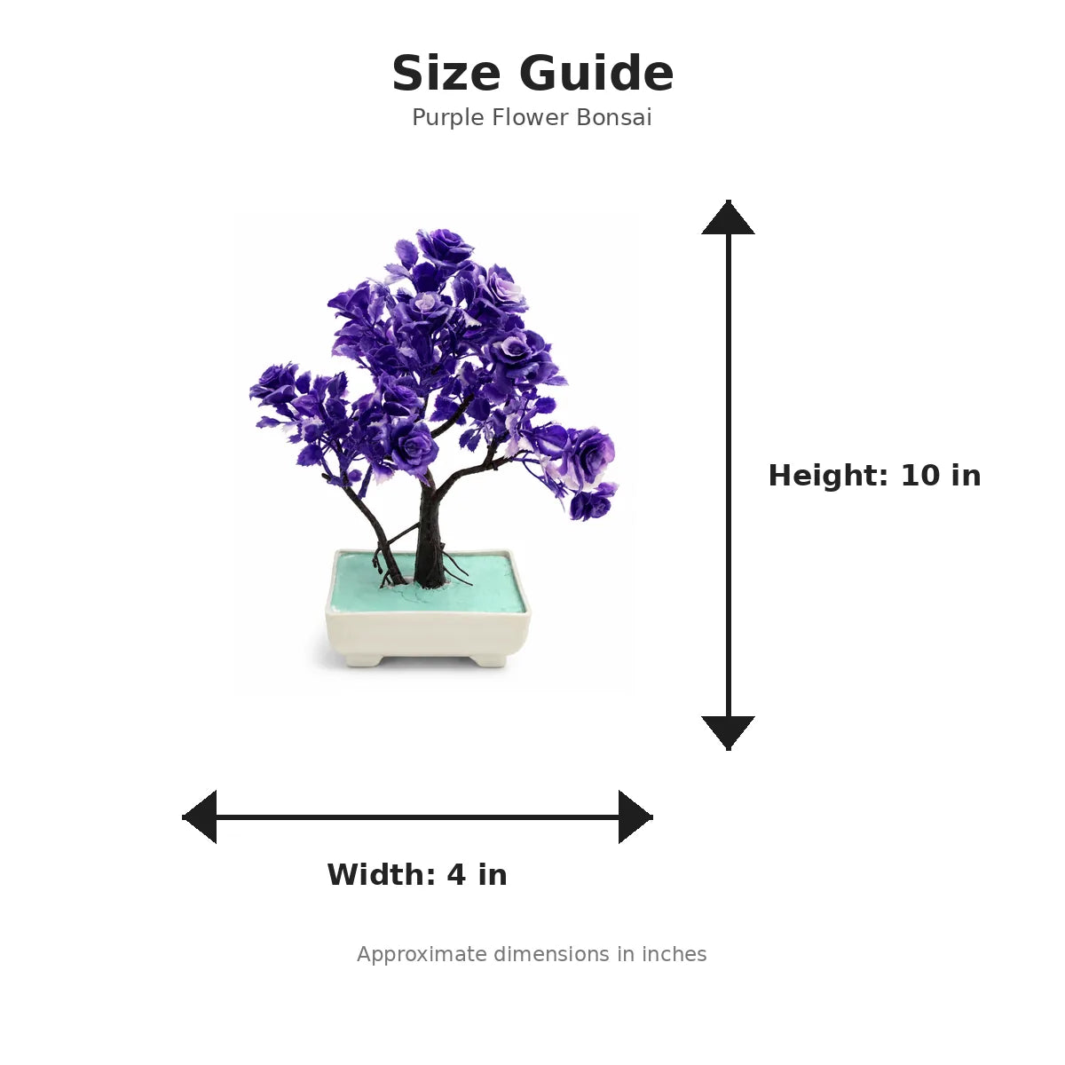 Size guide with product image - 10 x 4 inches