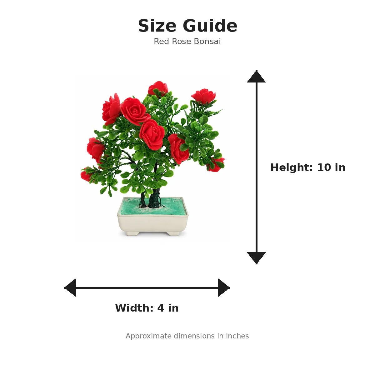 Size guide with product image - 10 x 4 inches