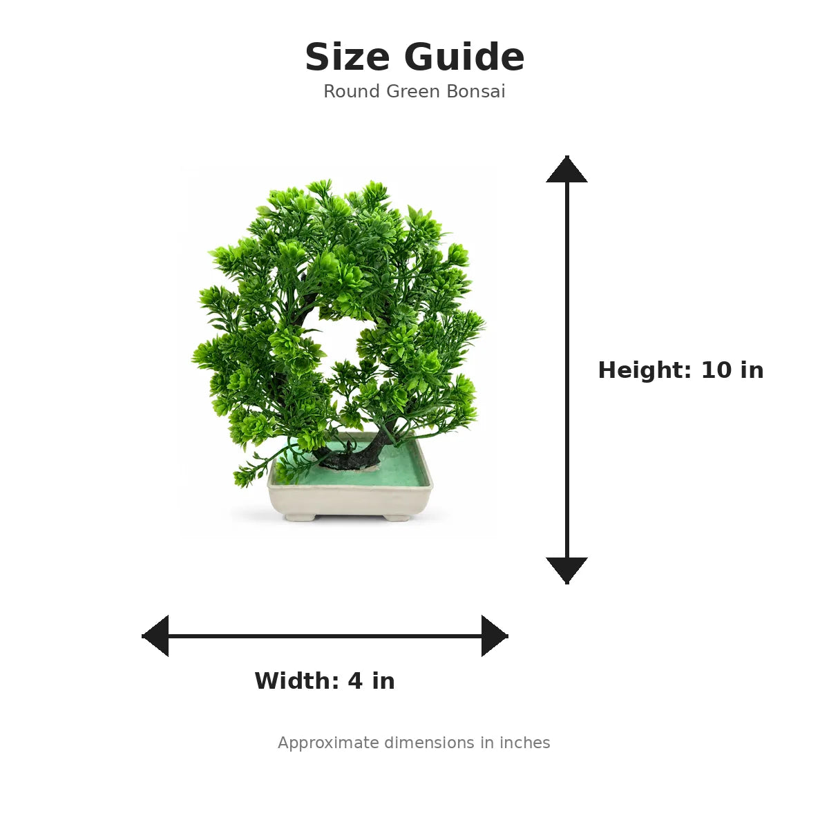 Size guide with product image - 10 x 4 inches