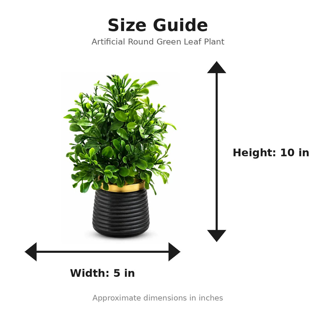 Artificial Round Green Leaf Plant in Dark Ribbed Pot size guide - 10 x 5 inches