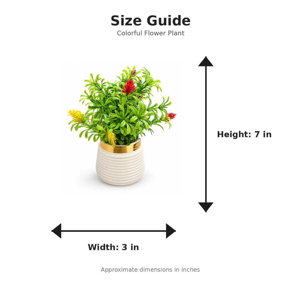 Size guide with product image - 7 x 3 inches