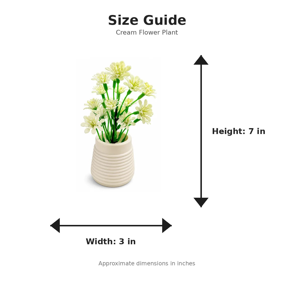 Size guide with product image - 7 x 3 inches