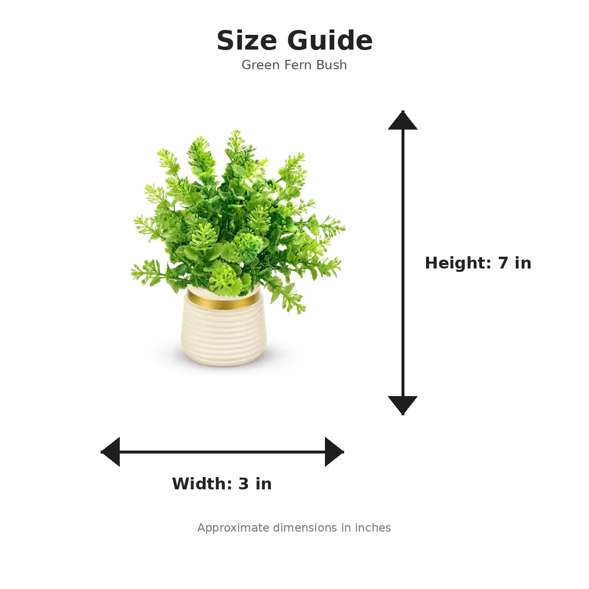Size guide with product image - 7 x 3 inches