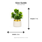 Size guide with product image - 7 x 3 inches
