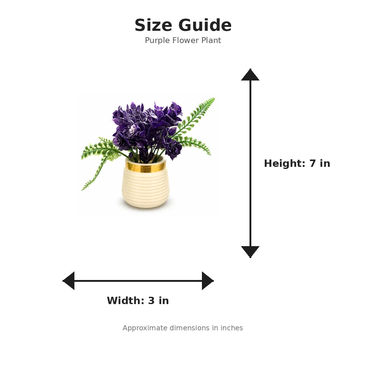 Size guide with product image - 7 x 3 inches