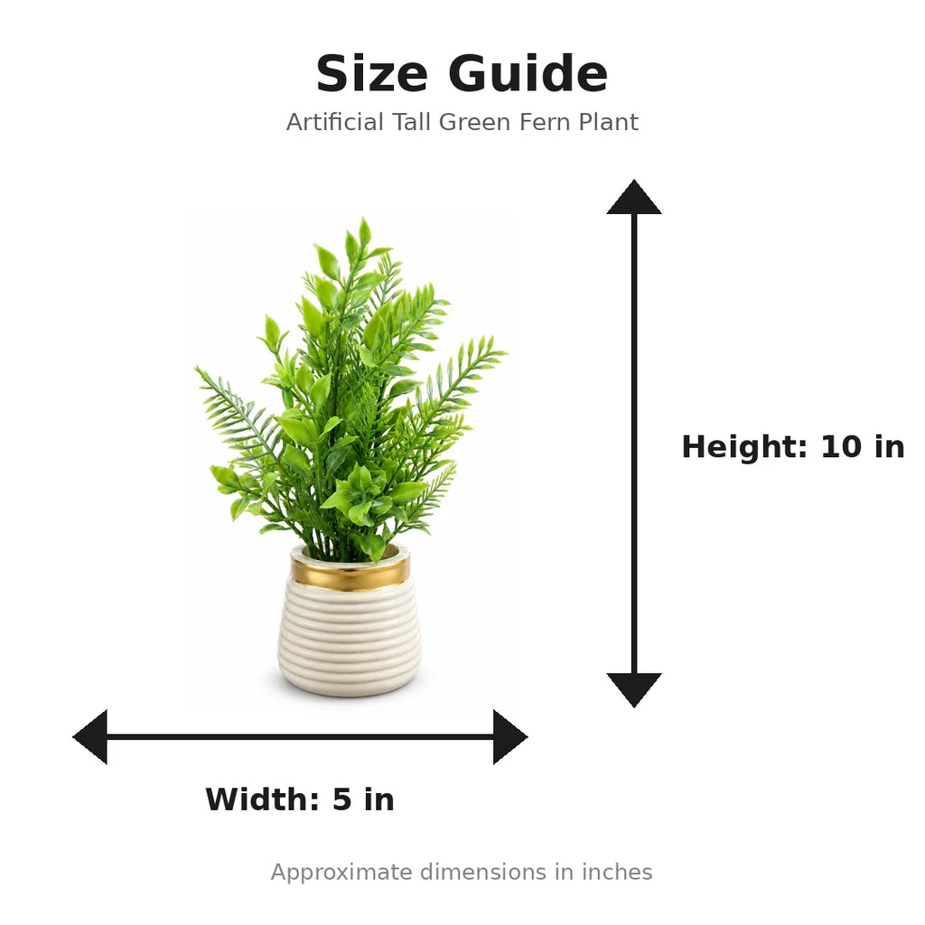 Artificial Tall Green Fern Plant in White Ribbed Pot size guide - 10 x 5 inches