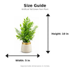 Artificial Tall Green Fern Plant in White Ribbed Pot size guide - 10 x 5 inches