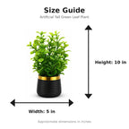 Artificial Tall Green Leaf Plant in Black Ribbed Pot size guide - 10 x 5 inches